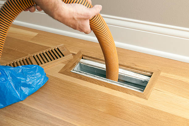 Best Affordable Duct Cleaning Services  in Kahaluu, HI