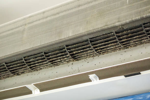 Best Emergency Air Duct Cleaning  in Kahaluu, HI